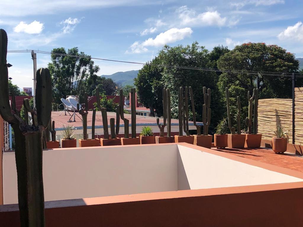 Casa Crónica Apartamento Oaxaca Exterior foto